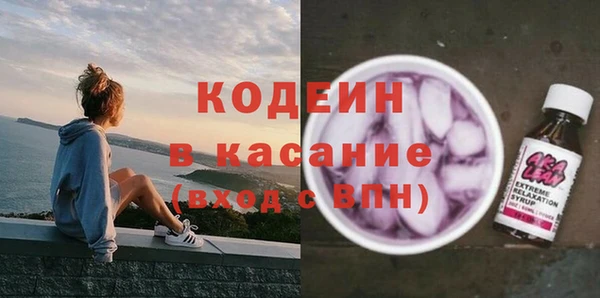 индика Верея